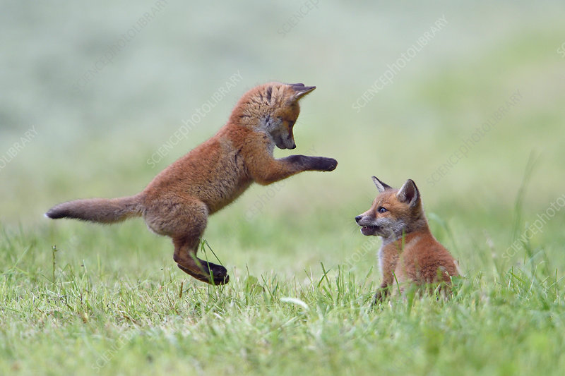 குழந்தையாக நாம் பிறந்த பொழுது –&nbsp;2