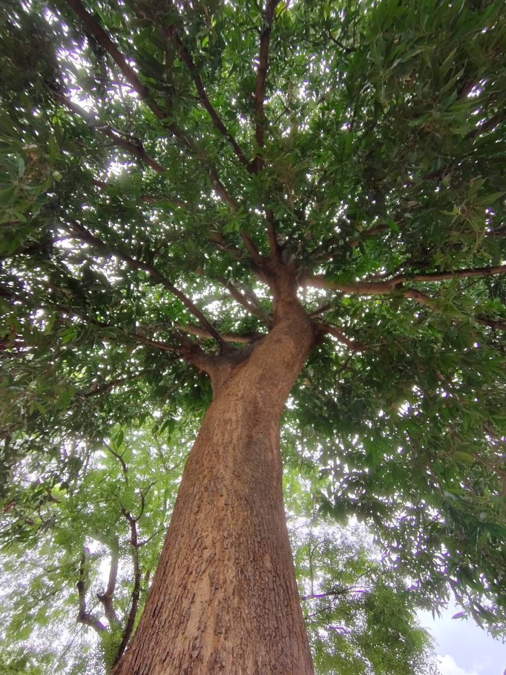 Towards the endless&nbsp;end