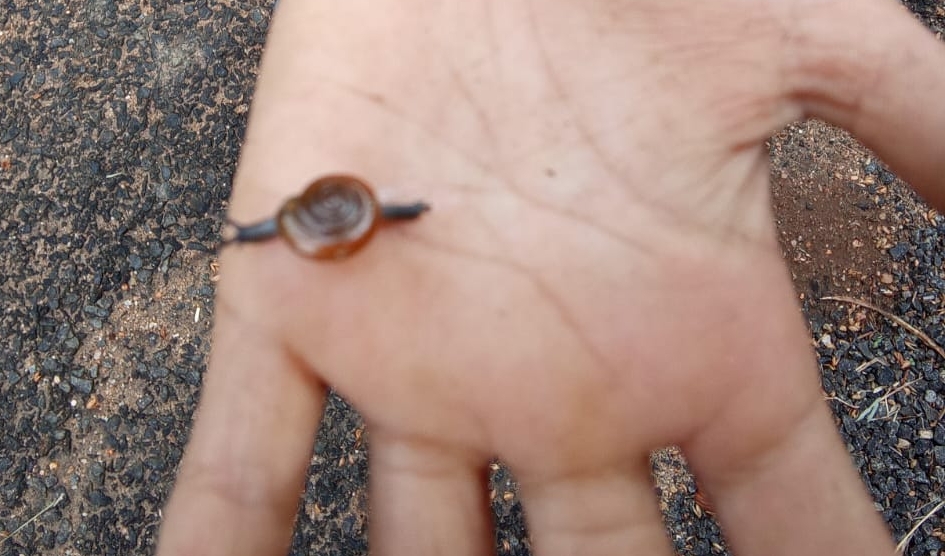 We spoke a&nbsp;touch