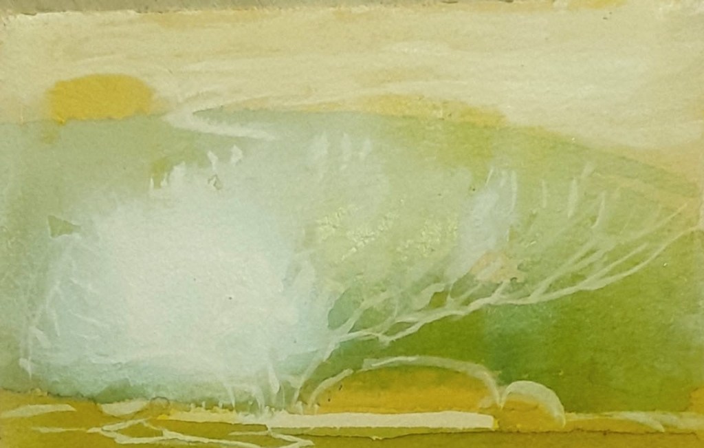 தன்னைத்தான் சிமிட்டுகிறது மின்மினிகாடு