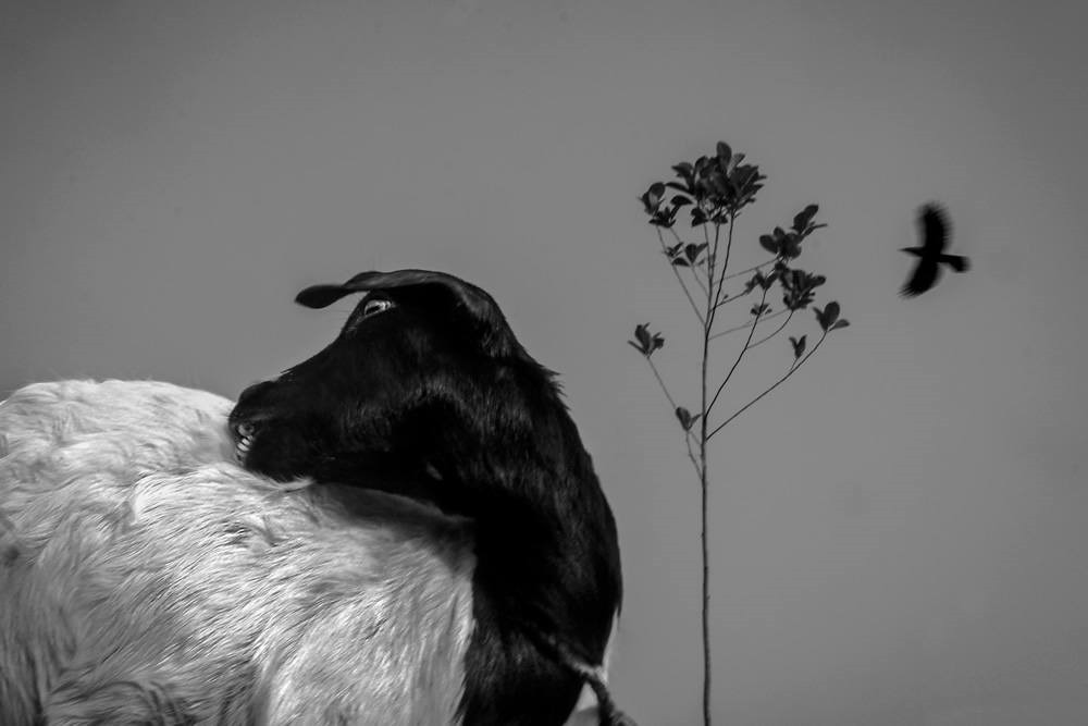 குழந்தையாக நாம் பிறந்த பொழுது –&nbsp;5