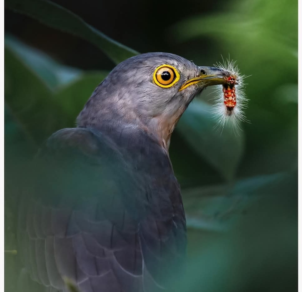 குழந்தையாக நாம் பிறந்த பொழுது –&nbsp;6