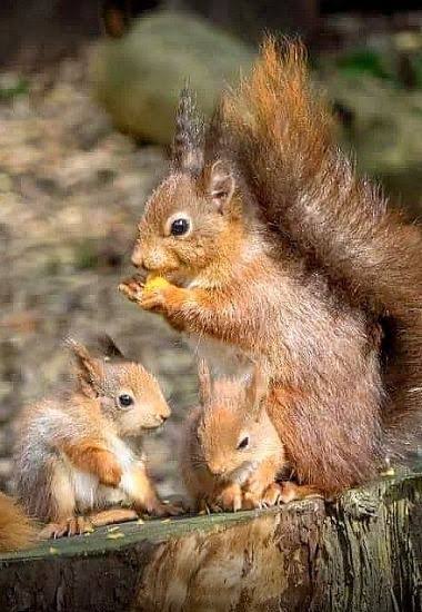 தோல் துடித்தேன் நான்