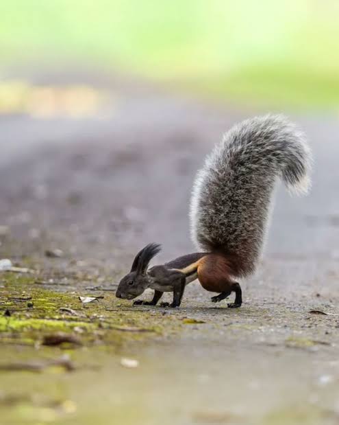 குழந்தையாக நாம் பிறந்த பொழுது –&nbsp;8