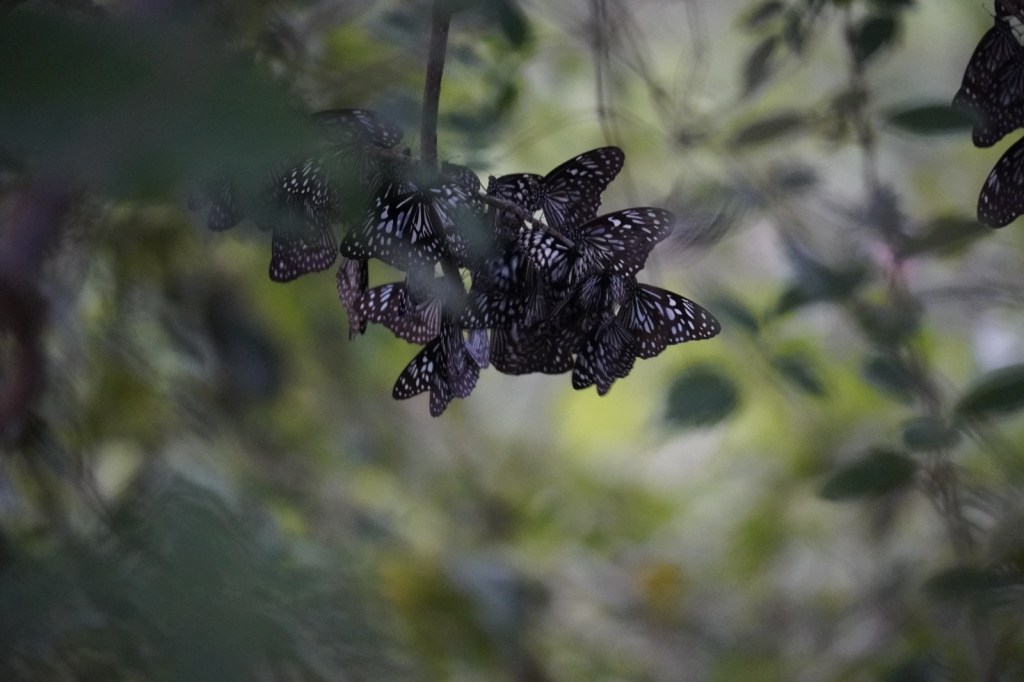 குழந்தையாக நாம் பிறந்த பொழுது –&nbsp;7