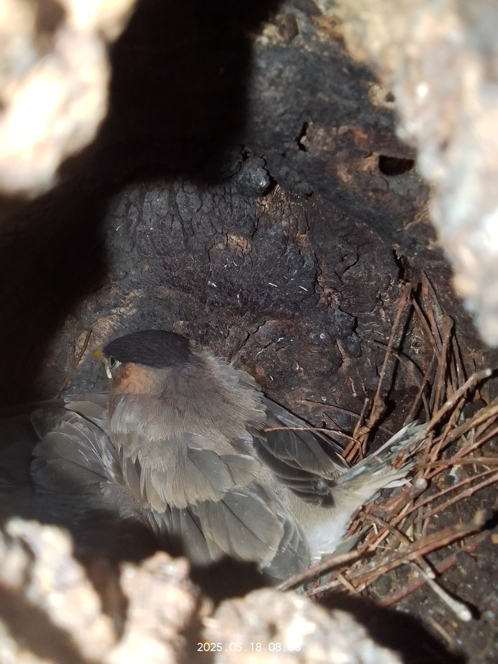 குழந்தையாக நாம் பிறந்த பொழுது –&nbsp;பற்றி