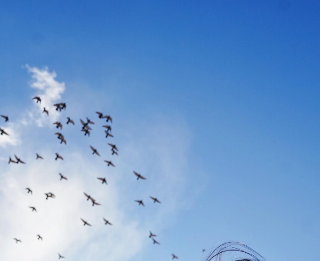 வன்னங்கமழ் சுடர்