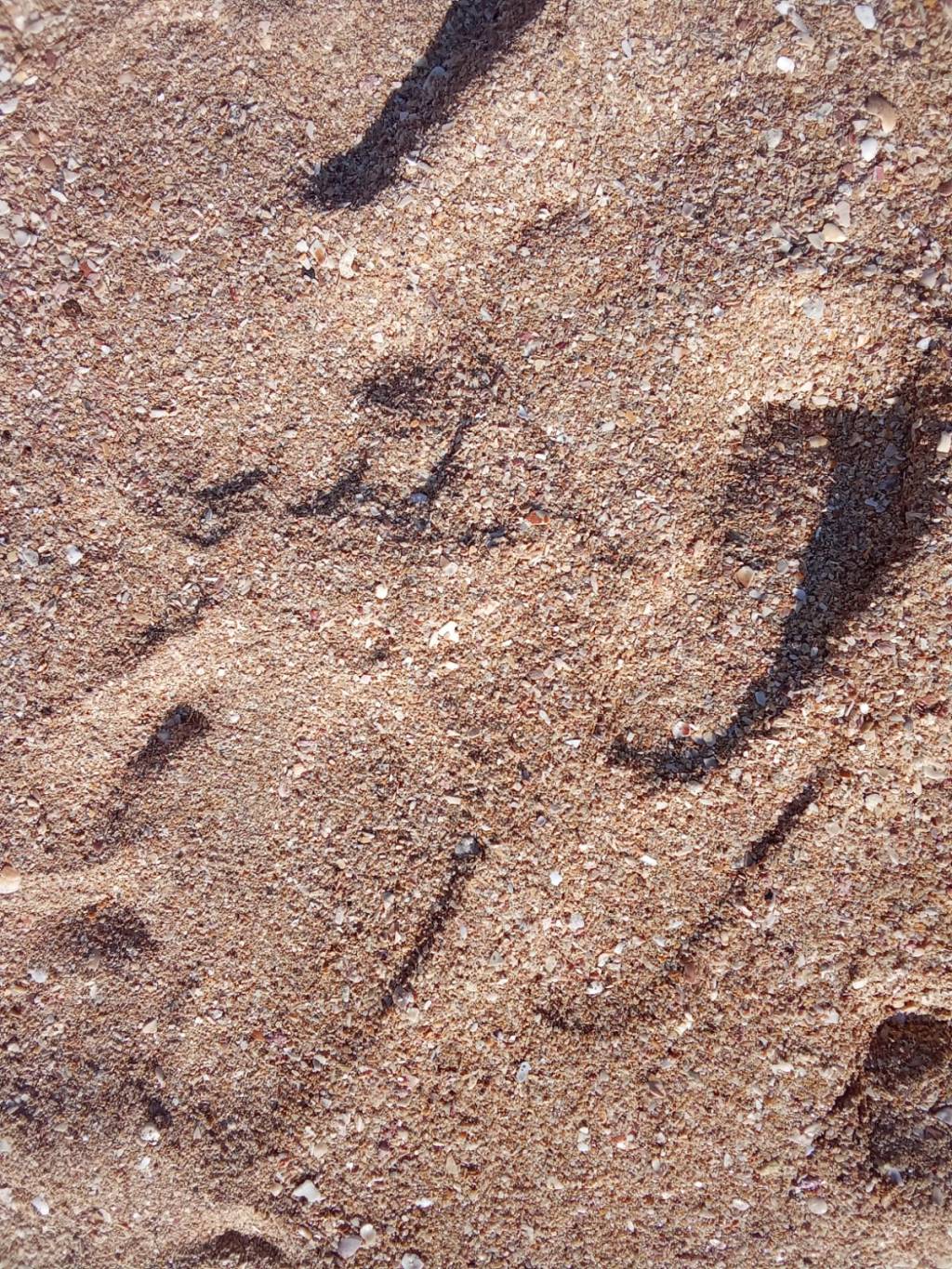 அழியக் கடவது