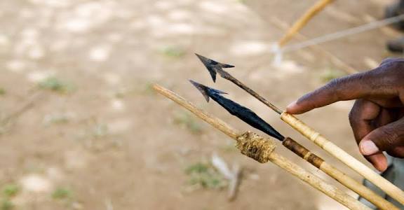 நச்சு தோய்த்த அம்பு